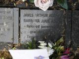 image of grave number 792660